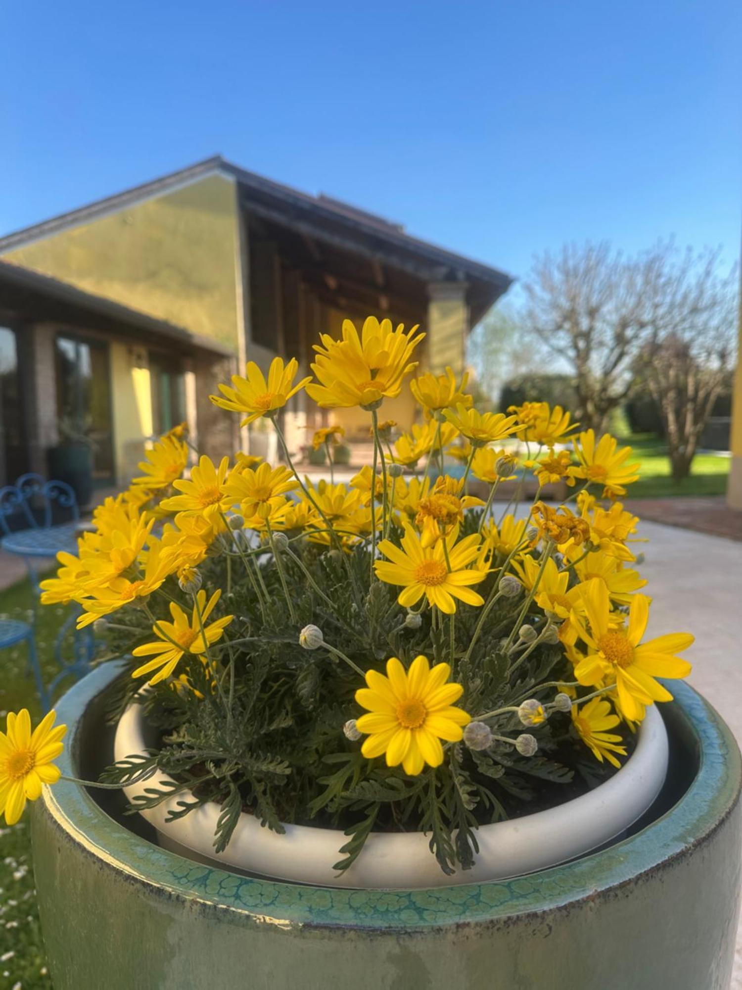 Agriturismo Corte Capiluppia Curtatone Екстериор снимка