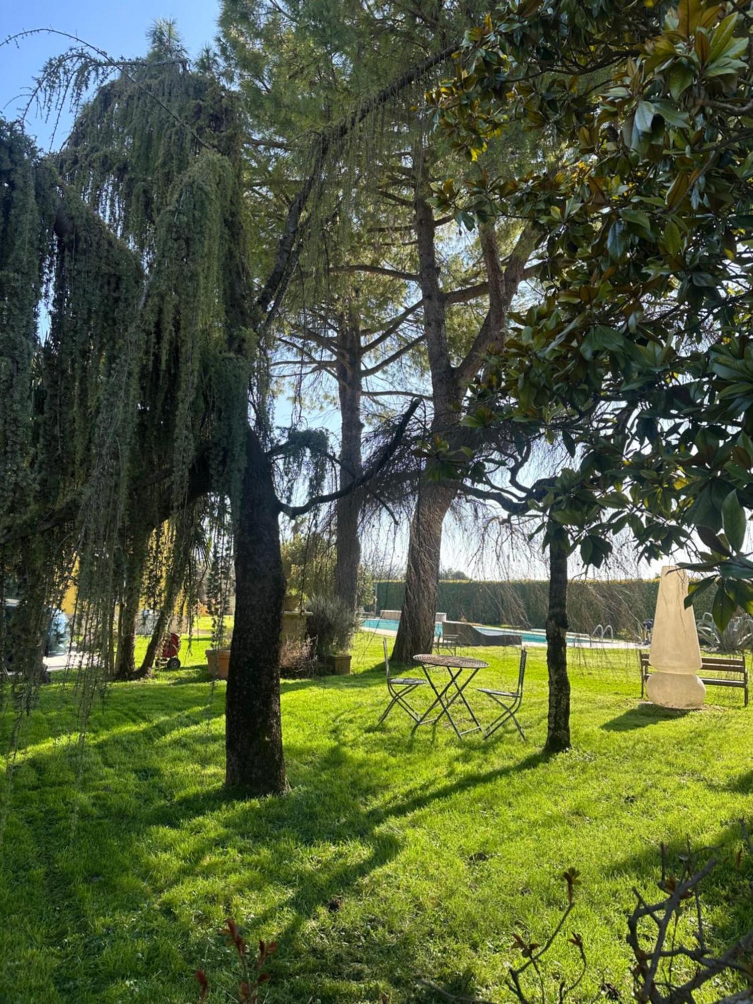 Agriturismo Corte Capiluppia Curtatone Екстериор снимка